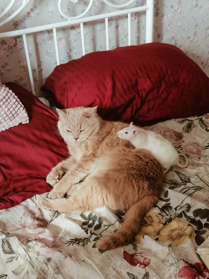 ��� ��� � ��� ����