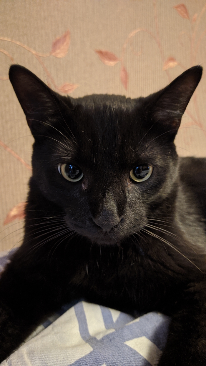 ���� ������ ���� �����