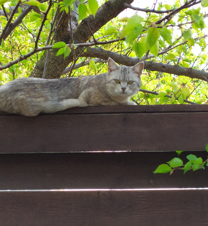 В гостях у Луны