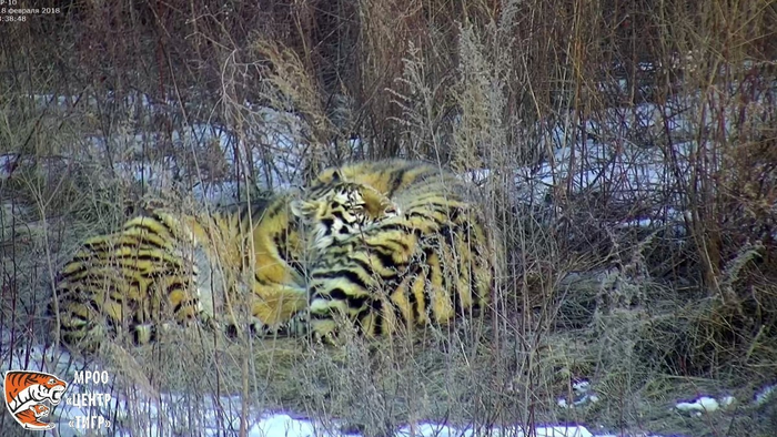 миссия комплит что значит
