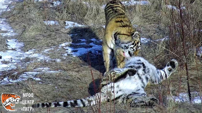 миссия комплит что значит