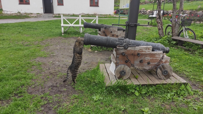 Орудие к бою не готово