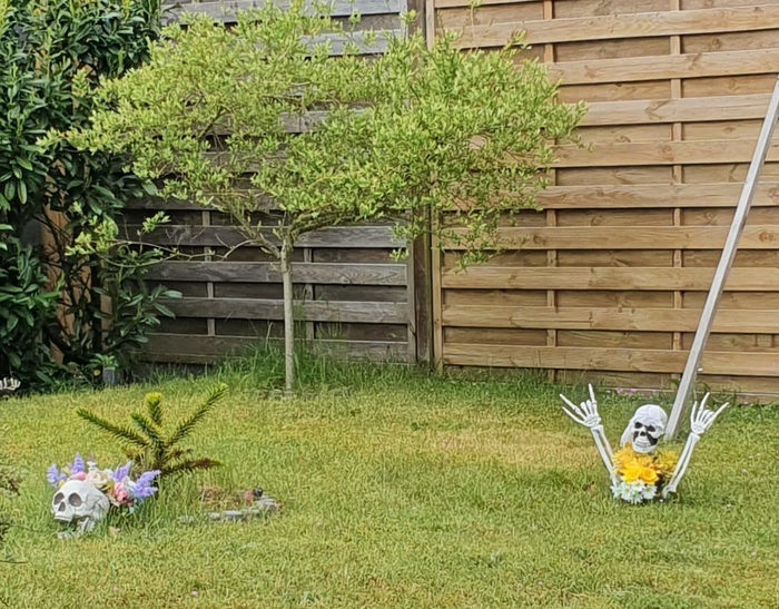 О вкусах не спорят