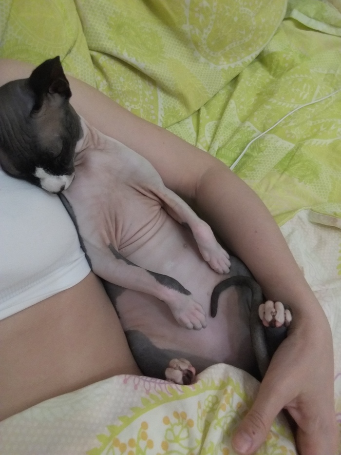 �����- ���������. �����, ����