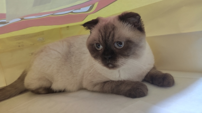 ������ ���, � ������ ��� �� ����������, ������ �������...