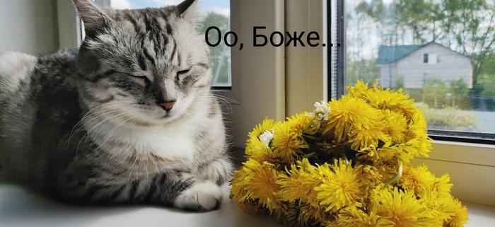    , , ,  , , , , , , , ,   