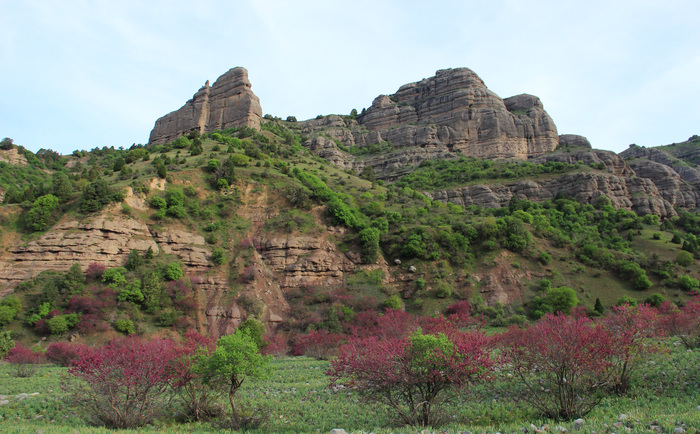 В заказнике Чильдухтарон Природа, Горы, Весна, Таджикистан, Длиннопост