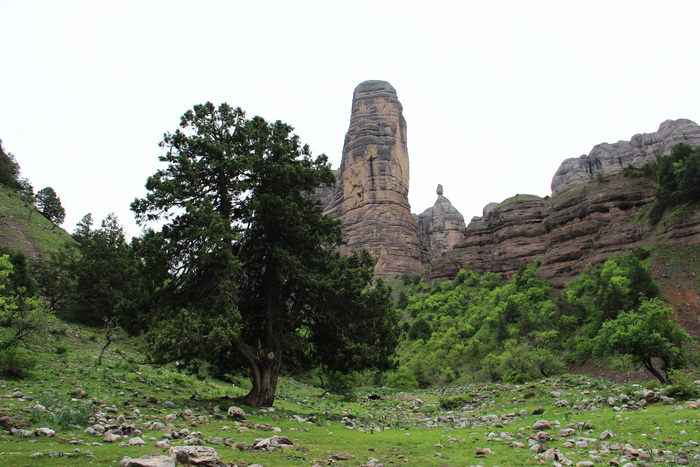 В заказнике Чильдухтарон Природа, Горы, Весна, Таджикистан, Длиннопост