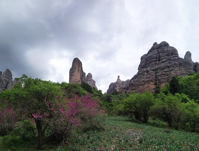 В заказнике Чильдухтарон Природа, Горы, Весна, Таджикистан, Длиннопост