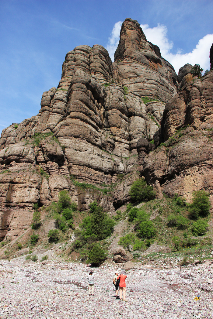 В заказнике Чильдухтарон Природа, Горы, Весна, Таджикистан, Длиннопост