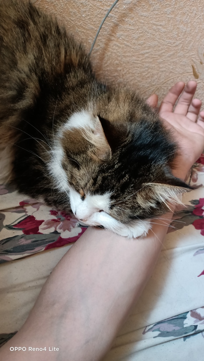 Отец одиночка