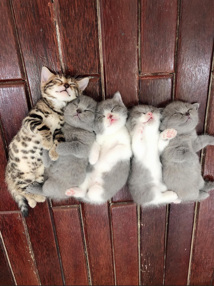 ����������� ����� ��������� ��������