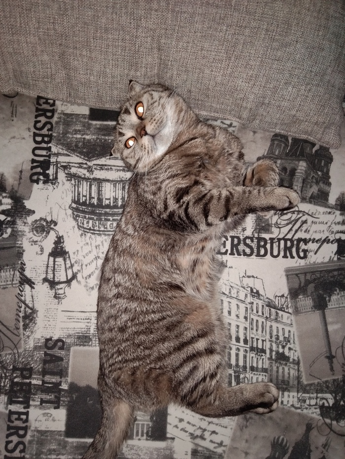 ����������� �����