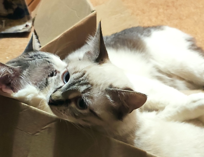 Ответ на пост «Ответ на пост