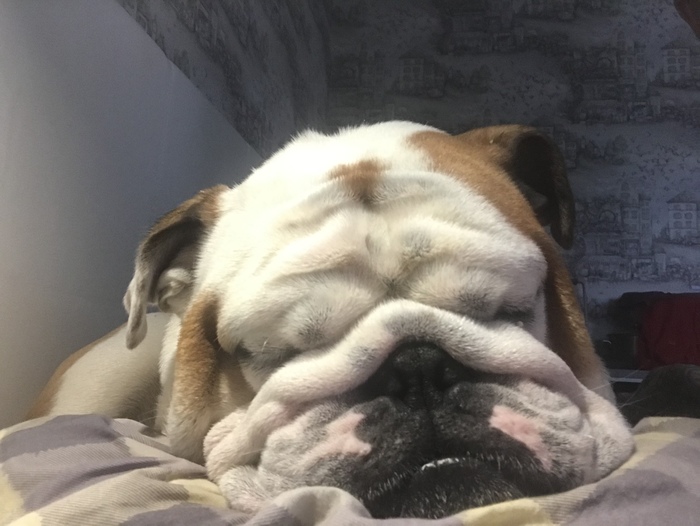 ���  ����� ������ ��� ����������� ��������� ?