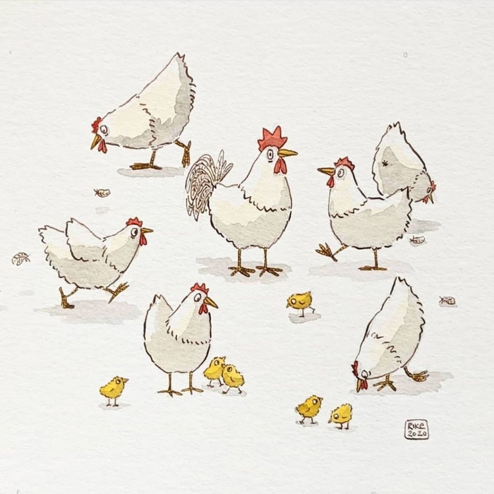 1621817037191161718 курица с телефоном картинки