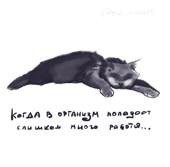 1621852418152185635.webp