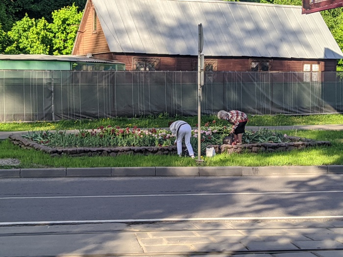 бургер кинг пей сколько хочешь в чем подвох. Смотреть фото бургер кинг пей сколько хочешь в чем подвох. Смотреть картинку бургер кинг пей сколько хочешь в чем подвох. Картинка про бургер кинг пей сколько хочешь в чем подвох. Фото бургер кинг пей сколько хочешь в чем подвох