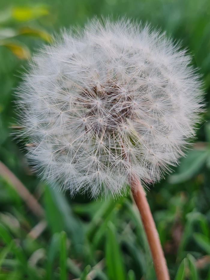 ������������ ���������