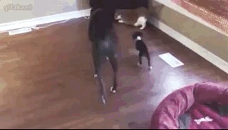  , , , 