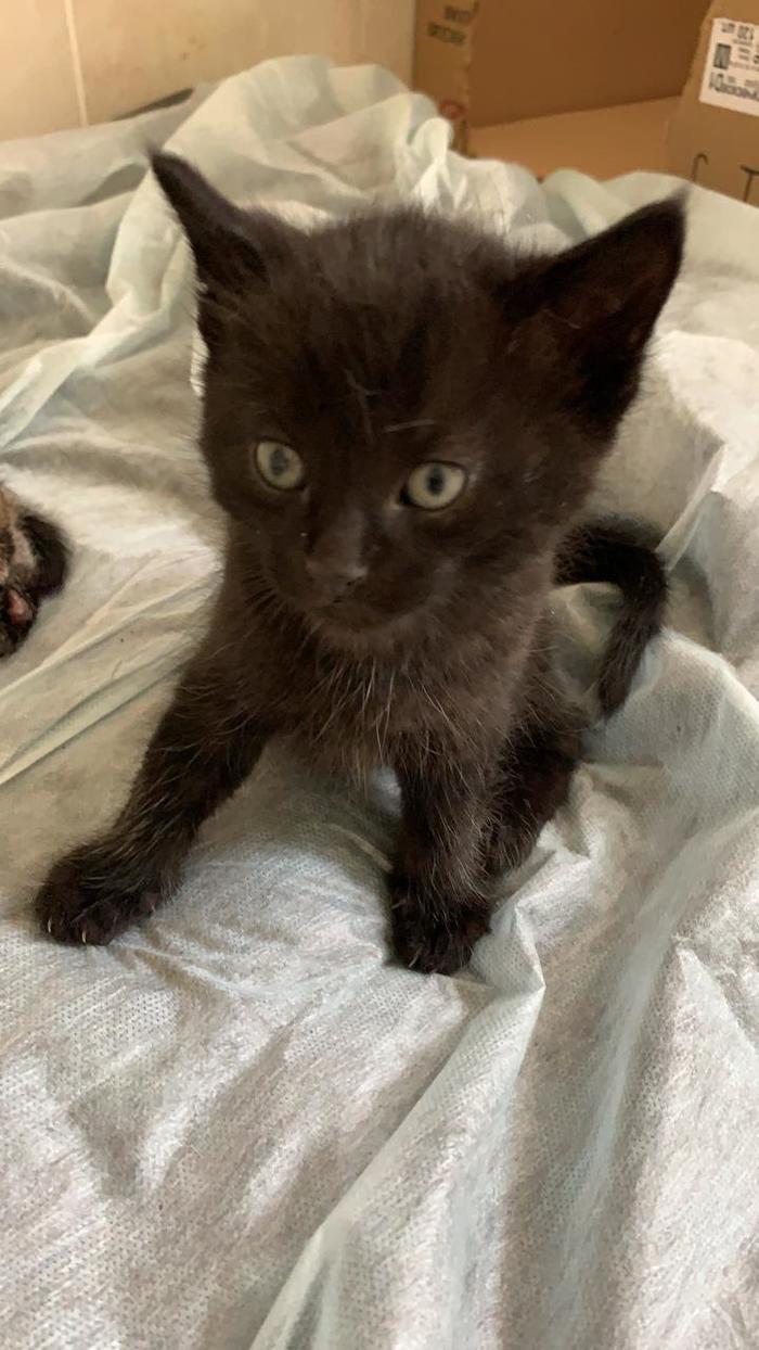 ������ - ��� ����� �������