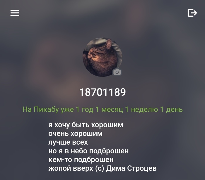 Уральские пельмени сборная по футболу на игре что где когда. Смотреть фото Уральские пельмени сборная по футболу на игре что где когда. Смотреть картинку Уральские пельмени сборная по футболу на игре что где когда. Картинка про Уральские пельмени сборная по футболу на игре что где когда. Фото Уральские пельмени сборная по футболу на игре что где когда