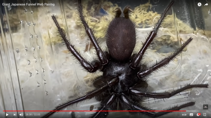 Вопрос знатокам