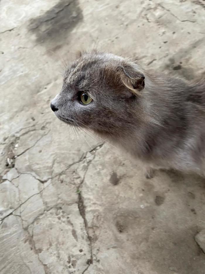 ������ ����������� ��� 2))