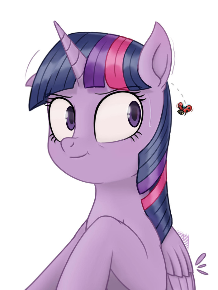   My Little Pony, Twilight Sparkle, ,  