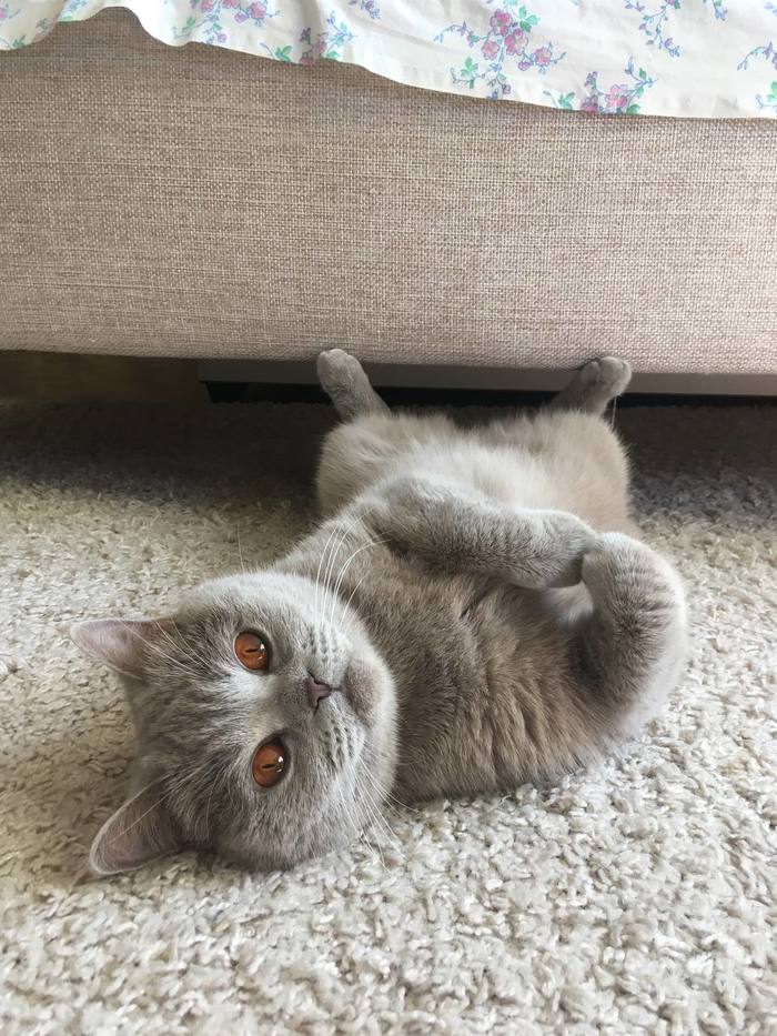 Не уходи на работу! Давай поиграем!))