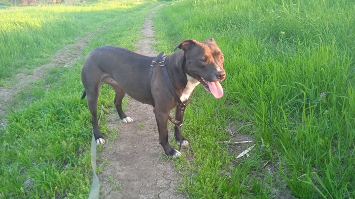 Краткое руководство пользователя, по поводу использования тэга "без рейтинга"