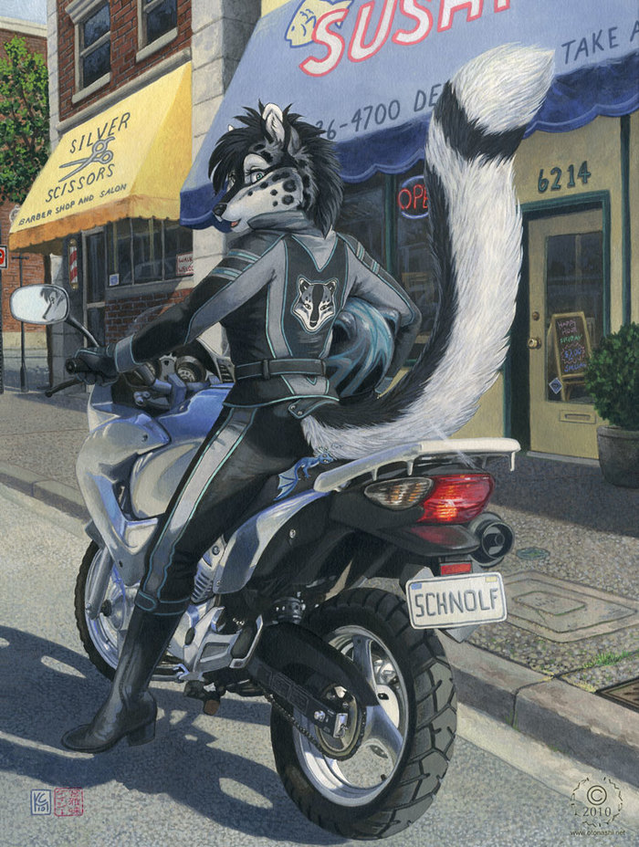 Tani's Bike , , Furry Art, Furry Feline, , Kacey Miyagami