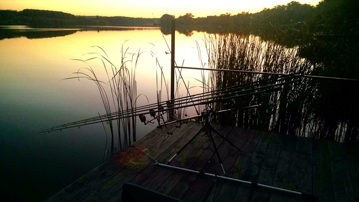 �������� ������� V