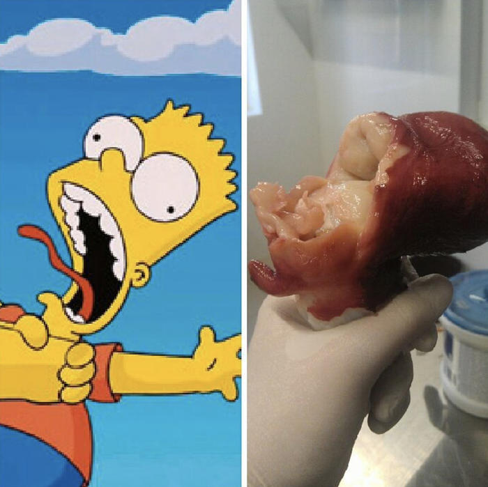 ����� �� ���� "��������� Dune II"