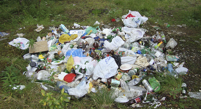 � ������ ��������� ��������� ������ �������