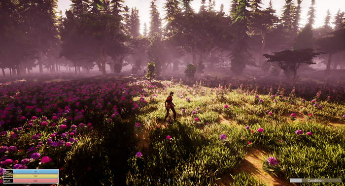   Path of Ninja , Gamedev, , Unreal Engine 4, RPG, , , , , 