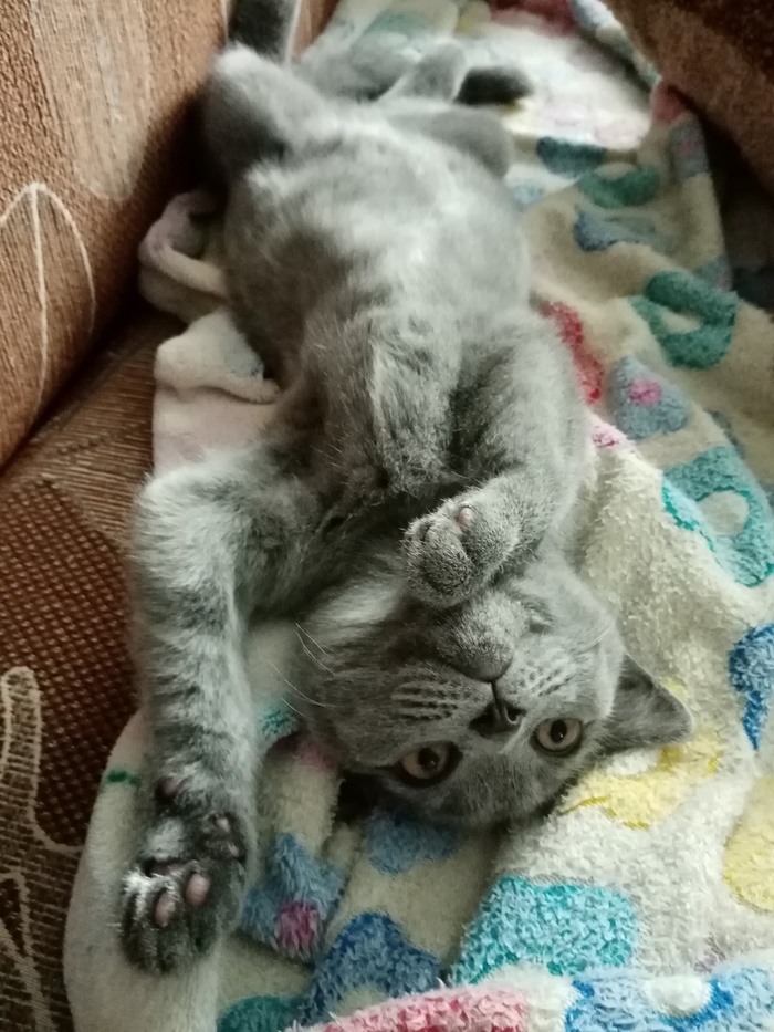 ����� ����� �����