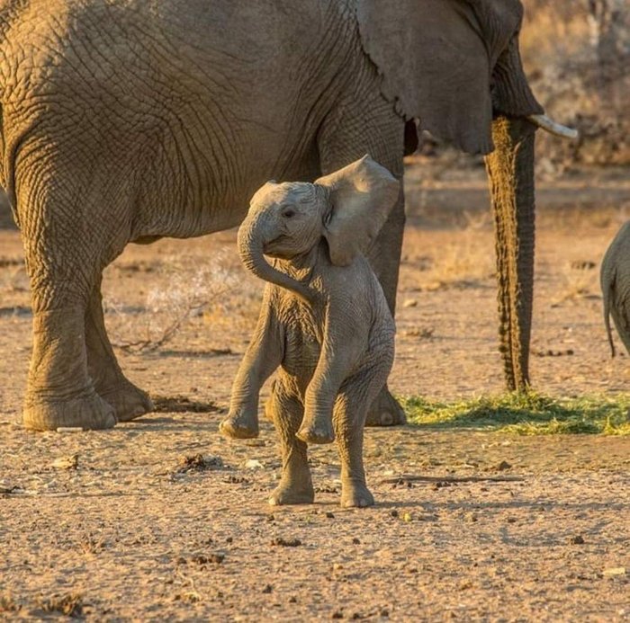 Что там происходит?
