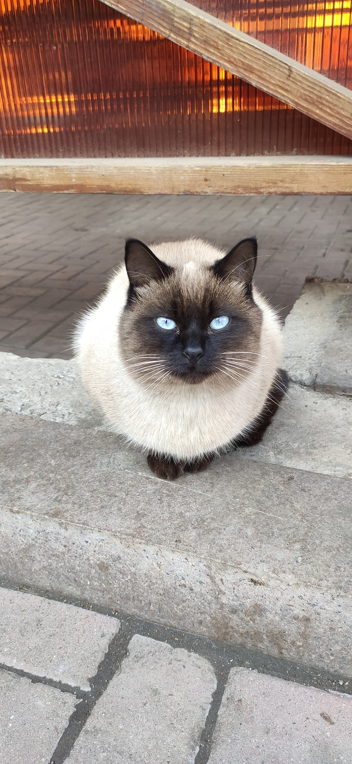 ������������ ��������