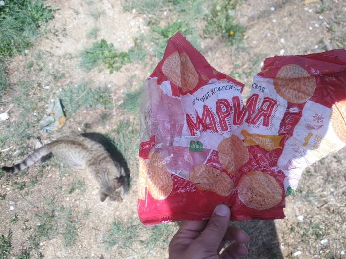 Странное явление:Мусор высоко в небе.Омск