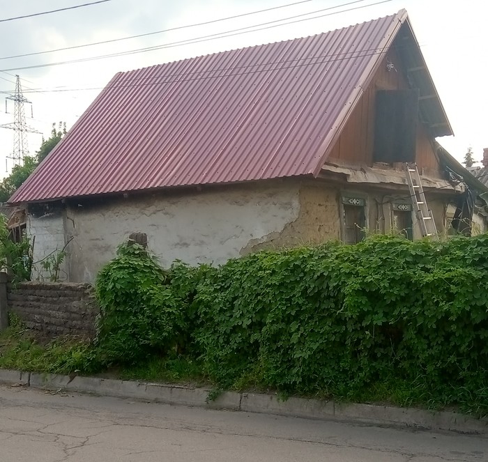 ���� ����� �����