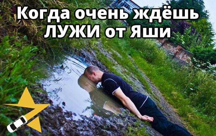 ����� ����� ����