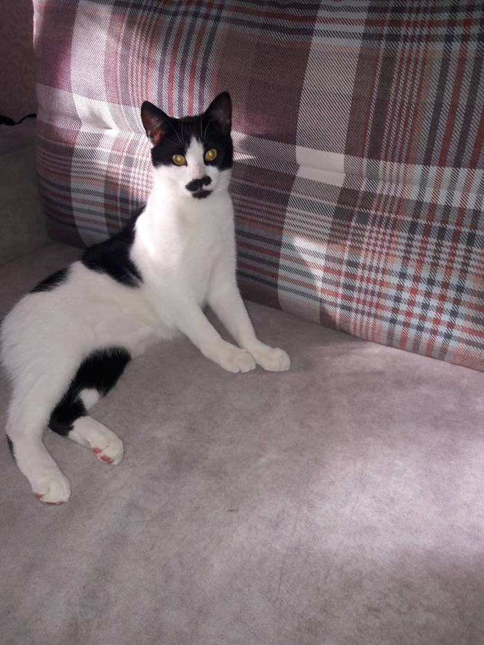 �����.���������� �����. ��� �������� [�������]