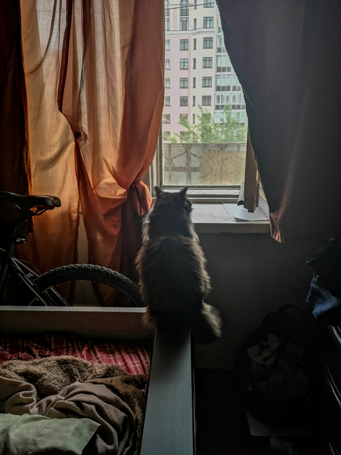 Мечты о даче