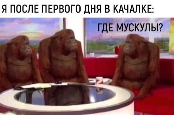 ������ ���� � �������