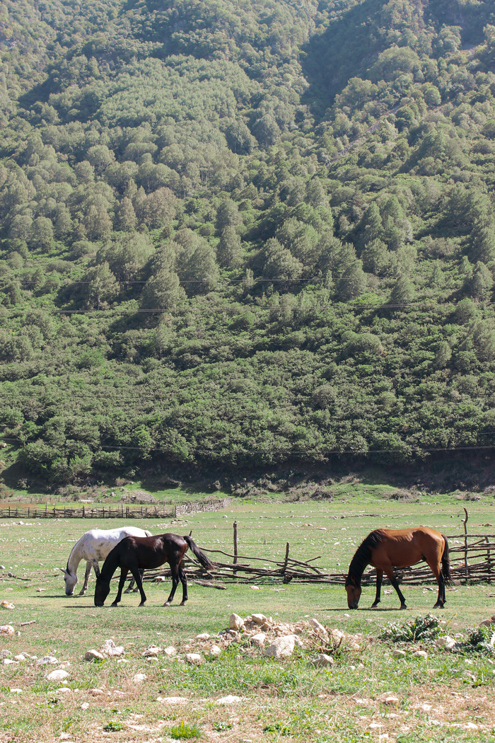 Верхняя Балкария