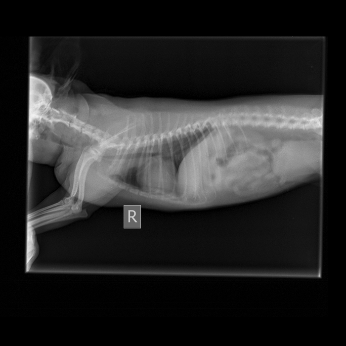 ����� ����� ����������!