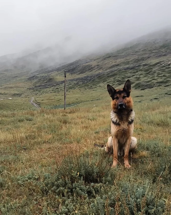Что произошло со мной в небольшом походе по Кавказу Кавказцы, Туризм, Поход, Путешествия, Приэльбрусье, Доброта, Кавказ, Видео, Длиннопост