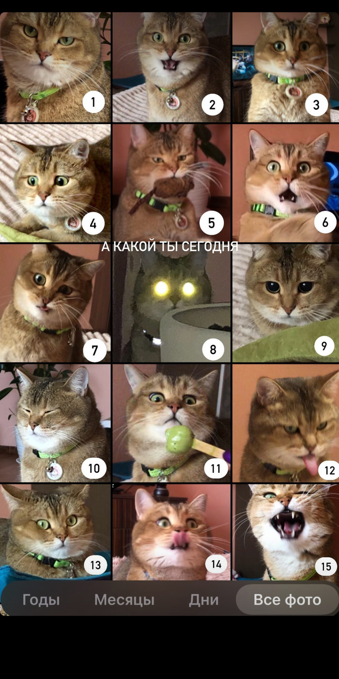 КОТстроение