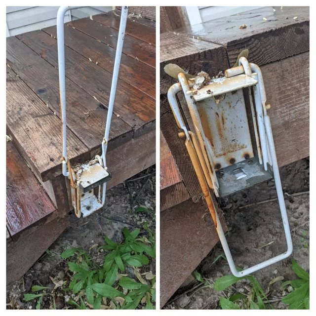 Что это за штука - 128 Перевел сам, Reddit, WhatIsThisThing, Видео, Длиннопост